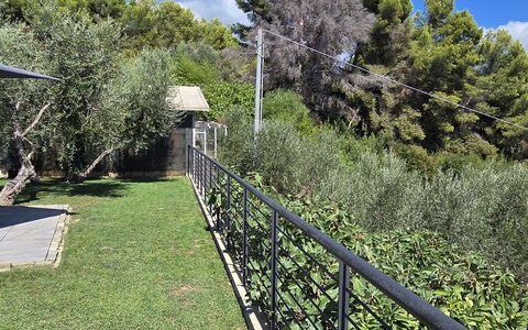 Villa Pineta della Rovere: Arbusto, Jardín, Cerca, Sombra, Pretil, Paisajismo, Patio Interior, Inicio De Esgrima