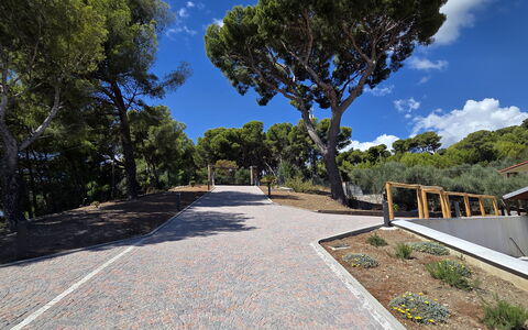 Villa Pineta della Rovere: Árbol, Espacio Publico, Pasarela, Pendiente, Sombra, Paisajismo, Entrada De Coches, Camino, Escalera, Sendero