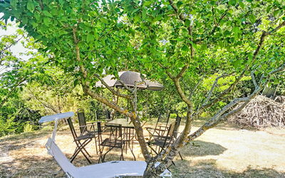 Archi 6: Hoja, Rama, Mueble Para Exteriores, Primavera, Mesa Al Aire Libre, Plantas Leñosas, Sombra, Jardín, Ramita, Patio Interior