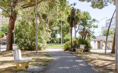 Casabianca: Árbol, Rama, Espacio Publico, Sombra, El Maletero, Plantas Leñosas, Banco Al Aire Libre, Banco, Acera