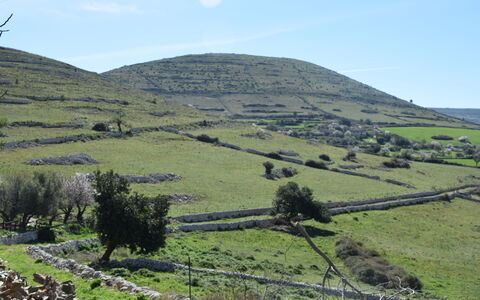 La Dimora di Artemide: Colina, Tierras Altas, Pradera, Paisaje, Terreno, Campo, Cayó, Pasto, Hill Station, Pendiente