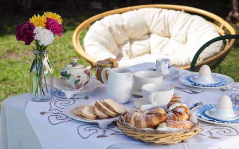 Casa Goel: Vajilla, Utensilios Para Servir, Taza, Vajilla, Taza De Café, Mesa, Mueble, Porcelana, Drinkware, Comida
