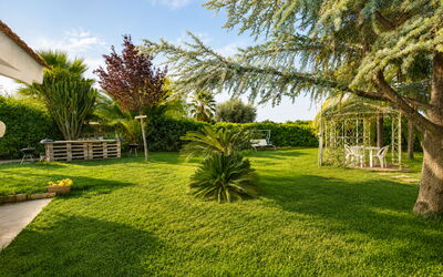 Il Cigno Reale Green