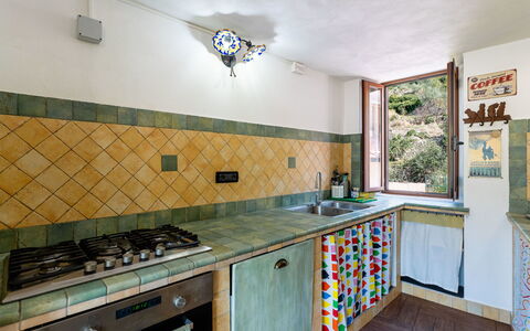 Ca Dell'Andre: Cocina, Madera, Mostrador, Diseño De Interiores, Piso, Electrodoméstico, Estufa De Cocina, Aparato De Cocina, Estufa, Suelo