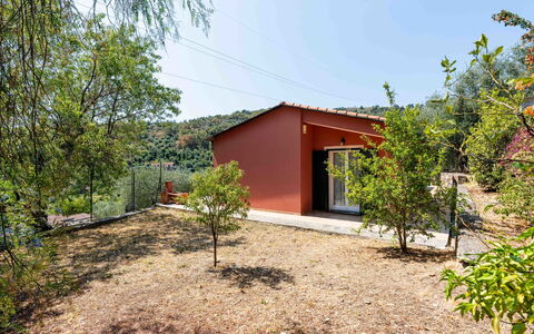 Orto di Silvia: Hoja, Paisaje, El Terreno Del Lote, Área Rural, Pendiente, Sombra, Edificios Del Jardín, Casa De Campo
