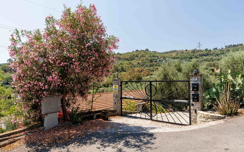 Orto di Silvia: Arbusto, Jardín, Cerca, Polo, Paisajismo, Inicio De Esgrima