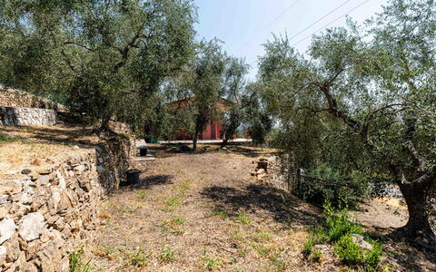 Orto di Silvia: Árbol, Hoja, Rama, El Maletero, Suelo, Plantas Leñosas, Paisajismo, Sendero, Patio Interior