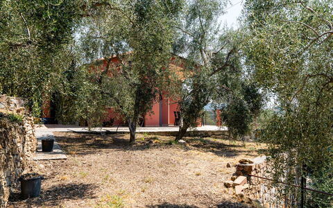 Orto di Silvia: Árbol, Hoja, Rama, Asentamientos Humanos, El Maletero, Plantas Leñosas, Ramita, Sombra, Patio Interior, Yarda