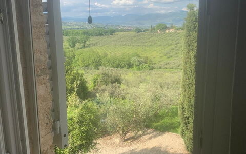 Il Casale al Colle: Luz De Sol, Vaso, Plantación, La Luz Del Día