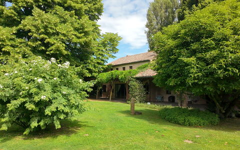 Villa Dorina: Árbol, Hoja, Arbusto, Césped, Jardín, Cabaña, Inmuebles, Patio Interior, Casa De Campo