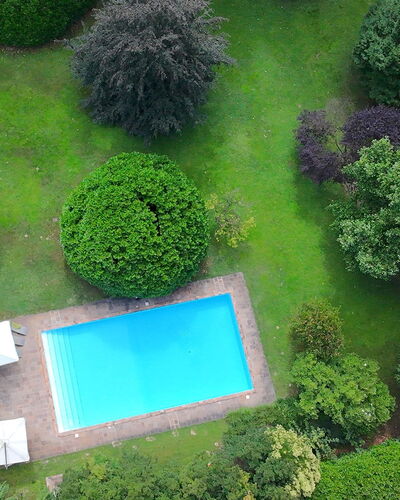 Villa Dorina: Piscina, Arbusto, Jardín, Césped, Paisajismo, Patio Interior, Yarda, Ocio, Recurso, Sombra