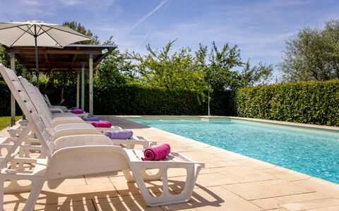 Il Cipresso, Casa Martina, Cortona: Piscina, Mueble Para Exteriores, Mueble, Material Compuesto, Jardín, Sombra, Recurso, Paraguas, Paisajismo, Silla