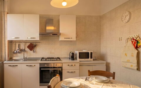 Vela Latina: Diseño De Interiores, Mueble, Madera, Piso, Techo, Suelo, Habitación, Encendiendo, Departamento, Mesa