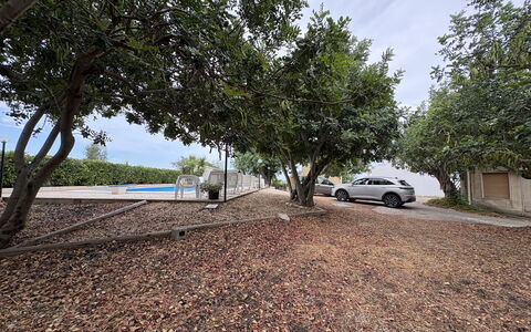 Casale Nardi: Árbol, Hoja, Rama, Superficie De La Carretera, Sombra, Plantas Leñosas, Luz De Sol, Entrada De Coches, Suelo, Paisajismo