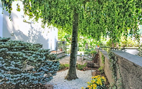 Boscolago: Hoja, Verde, Vegetación, Arbusto, Jardín, Cobertura Del Suelo, Primavera, Plantas Leñosas, Sombra, Ramita