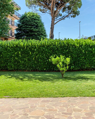 Villa Giulia: Verde, Arbusto, Cobertura, Jardín, Cobertura Del Suelo, Césped, Paisajismo, Sombra, Pasarela, Césped Artificial