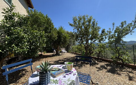 Il Fienile, Garden and Peacefull View: Arbusto, Paisaje, Jardín, Primavera, Sombra, Silla, Paisajismo, Maceta, Yarda