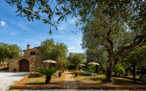 Casale delle Lupe, Campiglia Marittima: Jardín, Inmuebles, Hacienda, Paisajismo, Casa De Campo, Yarda, Villa, Sombra, Patio Interior, Entrada De Coches