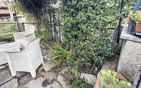 Colazza 100: Arbusto, Maceta, Jardín, Planta De Casa, Cerca, Hierba