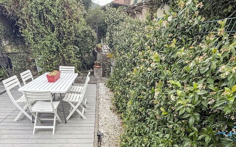 Colazza 100: Arbusto, Jardín, Primavera, Paisajismo, Sombra, Cobertura, Cerca, Inicio De Esgrima, Pasarela, Patio Interior