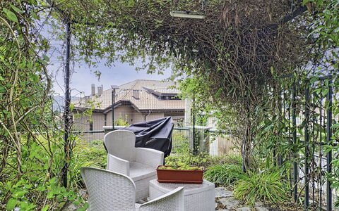 Colazza 100: Hoja, Vegetación, Arbusto, Primavera, Ramita, Jardín, Sombra, Patio Interior, Yarda, Cerca