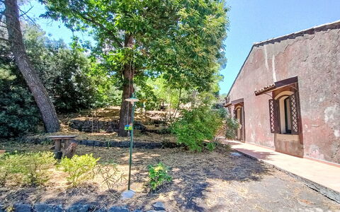 Il Giardino di Lara: Árbol, Hoja, Rama, Vegetación, Arbusto, Sombra, Jardín, Plantas Leñosas, Paisajismo