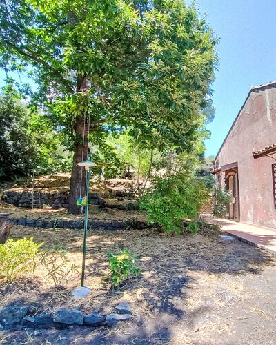 Il Giardino di Lara: Árbol, Hoja, Rama, Vegetación, Arbusto, Sombra, Jardín, Plantas Leñosas, Paisajismo