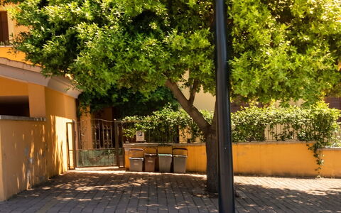 City and Coast: Balcón, Manchas De Madera, Planta De Casa, Mueble Para Exteriores, Maceta