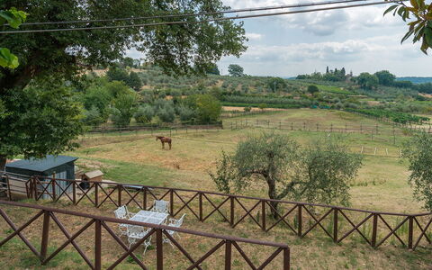 Casa Elia 6: Árbol, Llanura, Área Rural, Cerca, Pasto, Inicio De Esgrima, Parque, Granja, Rancho