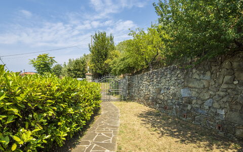 La Casina: Verde, Arbusto, Jardín, Pared De Piedra, Luz De Sol, Cobertura, Paisajismo, Pasarela, Cerca, Losa
