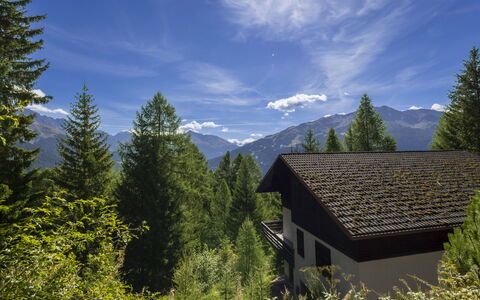 Nordic Nest: Arbusto, Casa, Cabaña, Cobertura Del Suelo, Jardín, Edificios Del Jardín, Vía Muerta, Inmuebles, Césped, Yarda
