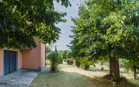 Gli Oleandri di Grazia: Hoja, Rama, Arbusto, Jardín, Luz De Sol, Sombra, Césped, Paisajismo, Entrada De Coches, Yarda