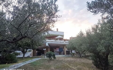La Terrazza di Colle Marino: Árbol, Hacienda, Yarda, Paisajismo