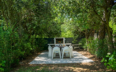 Villa Giomoa 8: Hoja, Naturaleza, Vegetación, Rama, Arbusto, Jardín, Planta De La Comunidad, Sombra, Primavera, Luz De Sol