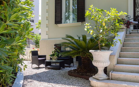 Villa Corona 8: Arbusto, Jardín, Maceta, Sombra, Paisajismo, Planta De Casa, Patio, Yarda