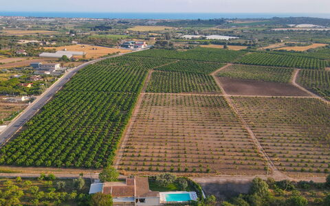 Il Giardino dei Limoni 8: Vista Panorámica, Agricultura, Campo, Paisaje, Plantación, Llanura, El Terreno Del Lote, Fotografía Aérea, Cosecha, Granja