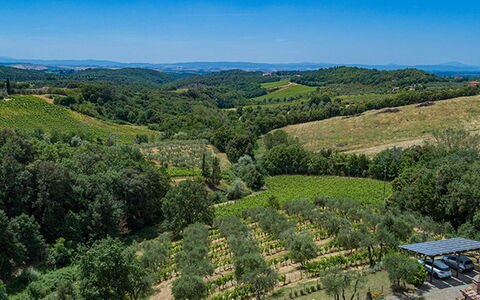 Villa Santa Maria 14: Vegetación, Paisaje Natural, Paisaje, Área Rural, Plantación, Tierras Altas, El Terreno Del Lote, Agricultura, Planta De La Comunidad, Campo