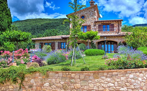 Villa Bella 8: Flor, Arbusto, Jardín, Casa, Cabaña, Casa De Campo, Paisajismo, Inmuebles, Jardín Botánico