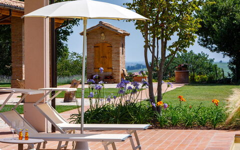 Ca' Pellicciano 8: Mueble, Mueble Para Exteriores, Paraguas, Silla, Mesa Al Aire Libre, Jardín, Sombra, Maceta, Patio, Eco Hotel