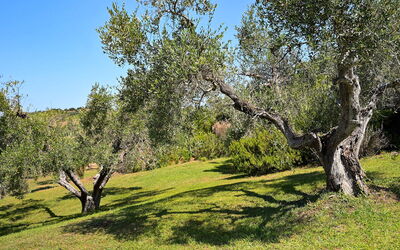Villa le Cave 12