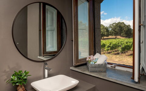 Villa Terre Normanne 10: Diseño De Interiores, Espejo, Arreglo De Tubería, Grifo, Plomería, Lavabo Del Baño, Lavabo, Utensilios Para Servir, Baño, Lámpara