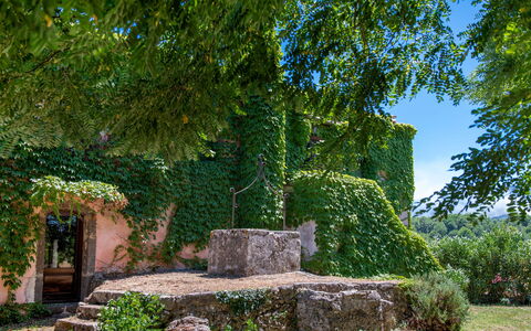 Villa Terre Normanne 10: Verde, Pared, Hoja, Naturaleza, Vegetación, Arbusto, Jardín, Cobertura Del Suelo, Pared De Piedra, Sombra
