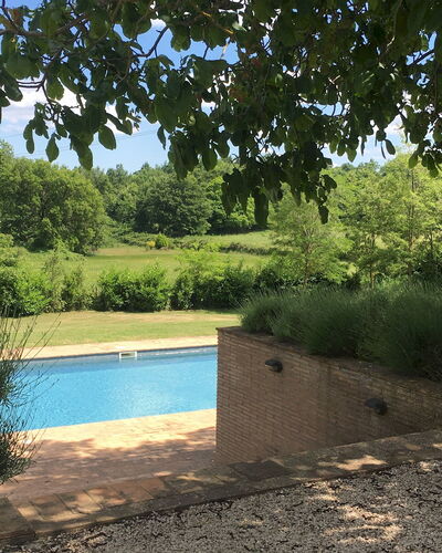 Villa Carmeli 12+2: Piscina, Jardín, Sombra, Patio Interior, Paisajismo, Hojas Perennes
