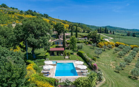 Casal Parro 6: Arbusto, El Terreno Del Lote, Jardín, Inmuebles, Piscina, Cobertura Del Suelo, Plantación, Paisajismo, Recurso, Prado