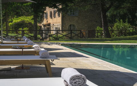 Villa Metelliano 10: Piscina, Mueble Para Exteriores, Mueble, Material Compuesto, Recurso, Sunlounger, Silla, Inmuebles, Losa, Eco Hotel