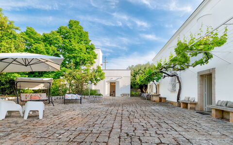 Masseria Profilo 8: Maceta, Sombra, Losa, Jardín, Mueble Para Exteriores, Patio, Planta De Casa, Silla, Yarda, Entrada De Coches