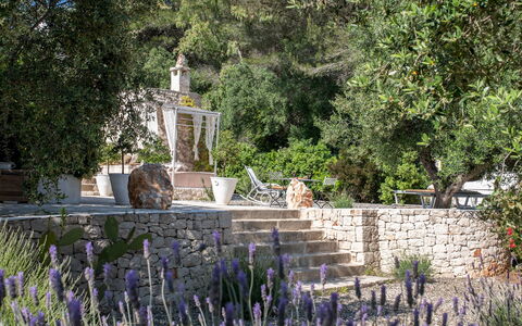 Pigreco 6+2: Arbusto, Jardín, Paisajismo, Patio Interior, Jardín Botánico, Yarda, Maceta
