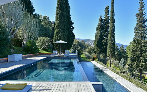 Villa Armonia 8: Azul, Piscina, Hojas Perennes, Paisajismo, Fuente De Agua, Alerce, Familia De Pino