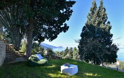 Villa Armonia 8: Paisaje, Mueble Para Exteriores, Luz De Sol, Jardín, Césped, Sombra, Sunlounger, Paisajismo, Silla, Hojas Perennes