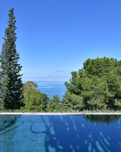 Villa Armonia 8: Azul, Piscina, Hojas Perennes, Zona Tropical, Alerce, Familia De Pino